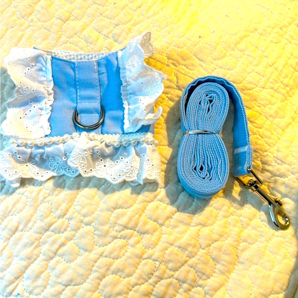 Harness & leash see